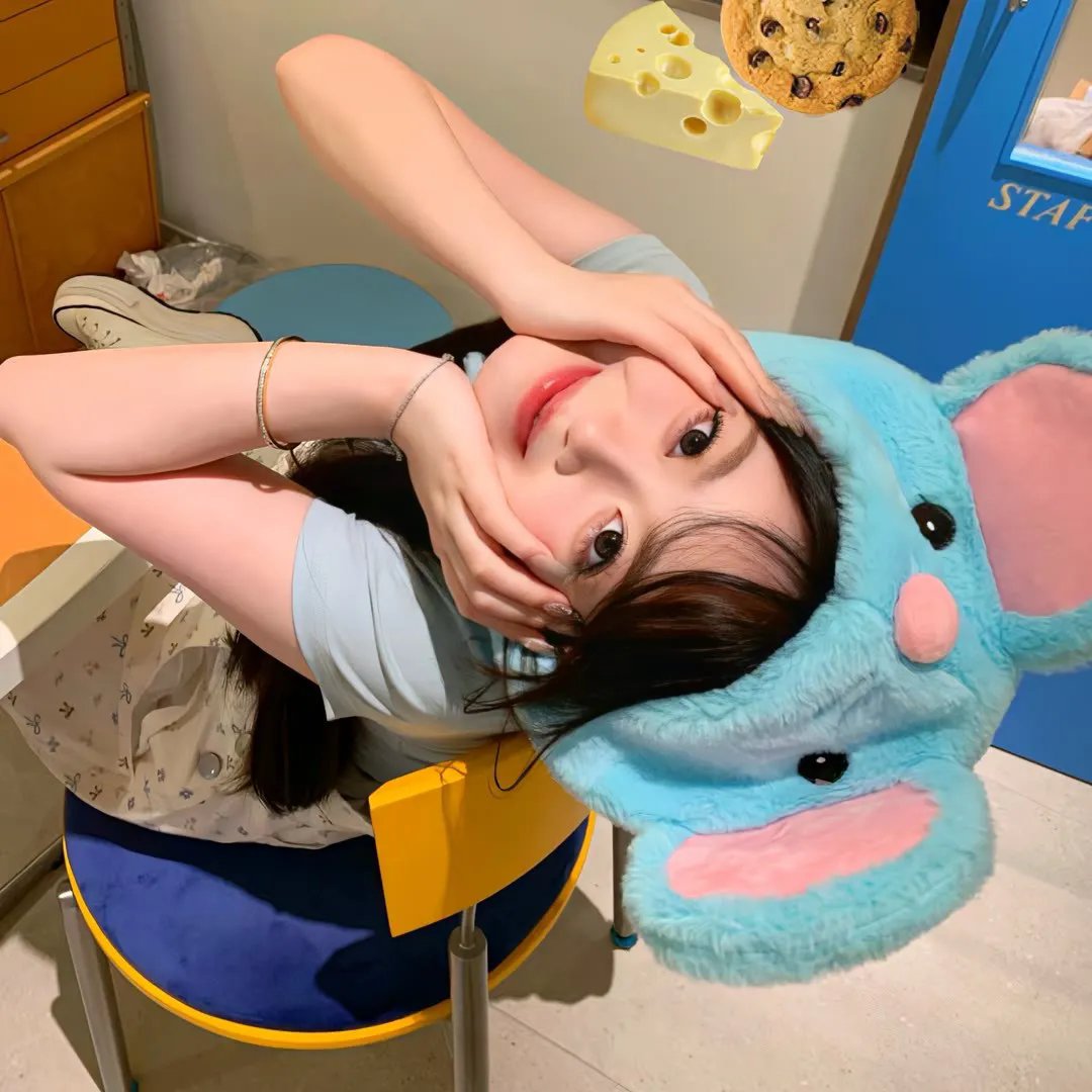 乌冬面之国的金色毛球